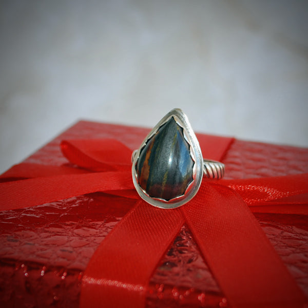 Tiger Iron and Sterling Silver Ring